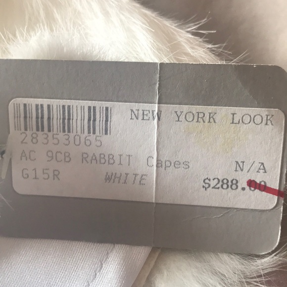 Rabbit Cape - Picture 6 of 6